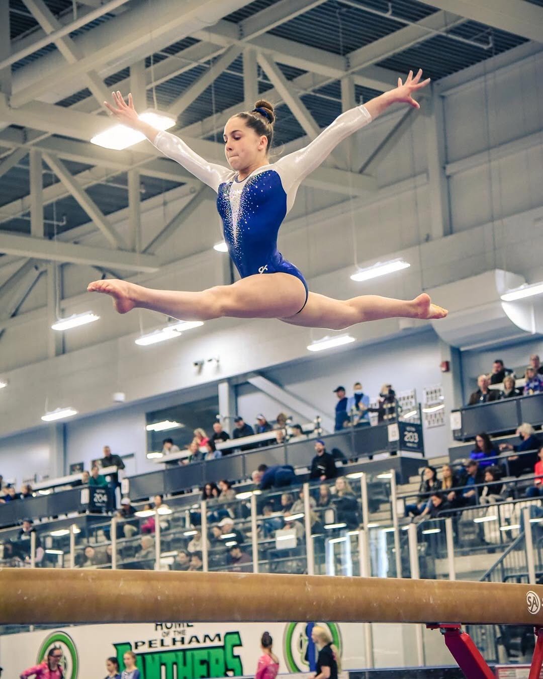 Leaping into success Alpha Gymnastics